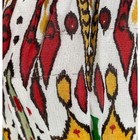 Foto 14 di 14