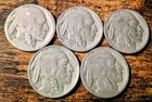 Lot of 5 - Indian Head Buffalo Nickles 5c