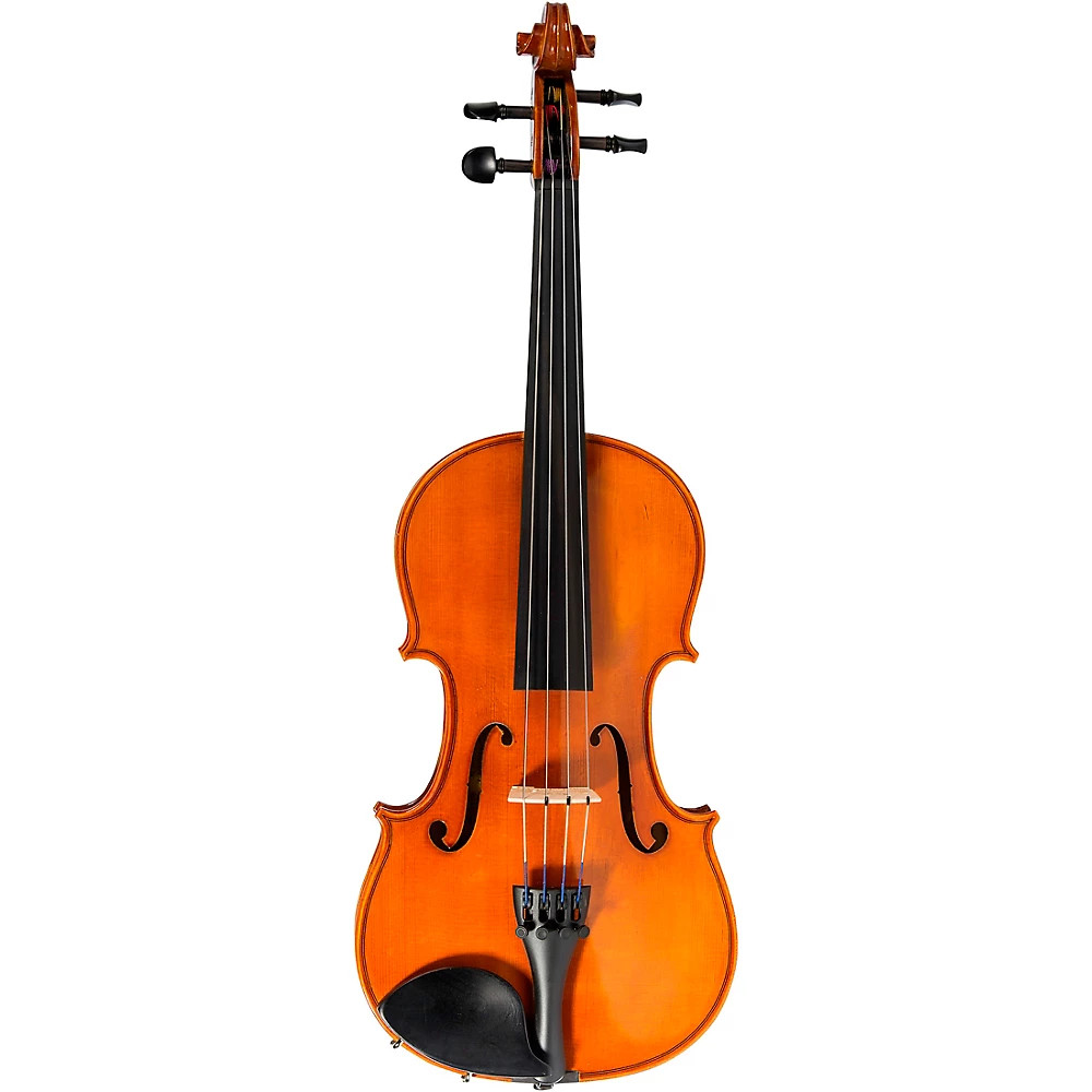 Strobel MA-80 Student Series 12 Viola Outfit 159290₽