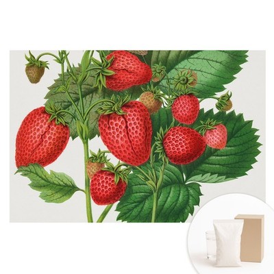 Non-Woven XXL Wallpaper 3D Effect Bedroom Strawberries On A Green Background