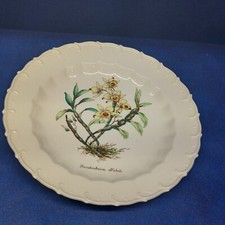 Piatto frutteto inglese vintage Copeland Spode #6 "Dendrobium Nobile" usato in ottime condizioni 
