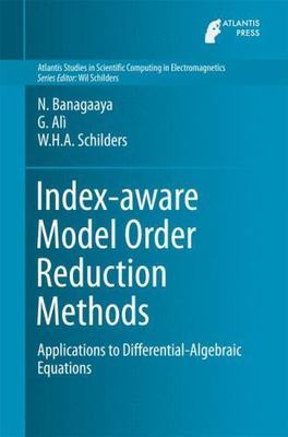 Index-aware Model Order Reduction Methods : Applications to Differential-alge...