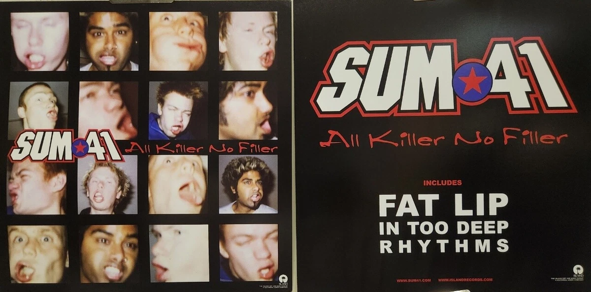 原始sum 41 纪念品| eBay