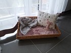 Bild 8 von 10