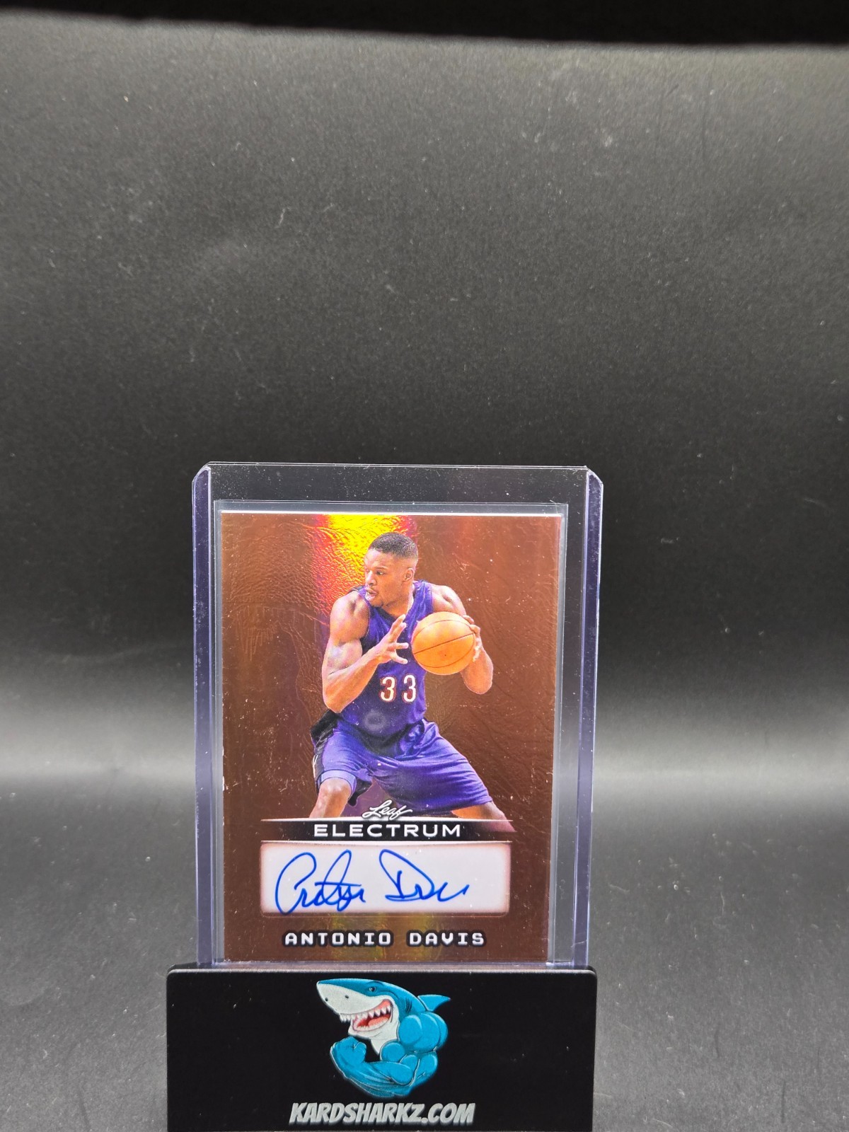 2025 Leaf Electrum Antonio Davis Auto /12