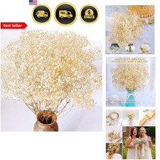 Baby's Breath Flowers Bulk Dried Gypsophila Flowers for Wedding Party Home Decor