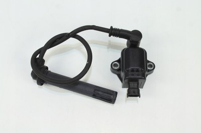 ELDOR 380.4.022.1B 773800003 Zündspule Ducati 1199 Panigale 1 Stück