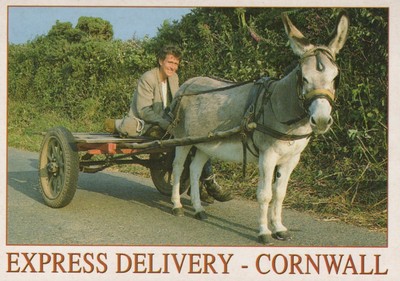 Animals Postcard - Cornish Donkey, Cornwall Express Delivery Cart  RR22746
