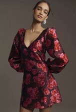 NWT BHLDN Aliana Long-Sleeve V-Neck Floral Organza Mini Dress Red Pink M
