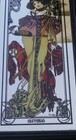 Bild 6 von 12