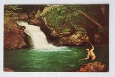 Postcard The Homestead Hot Springs Virginia USA The Cascades Trout Stream
