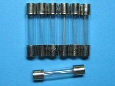 100 Pcs Glass Fuse 1A 250V 6mm x 30mm Fast Blow 6x30mm New
