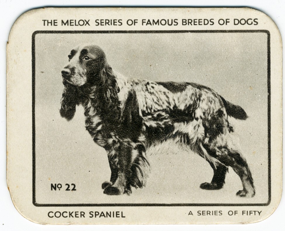 ) Famous Breds Of Dogs Trade Card #22