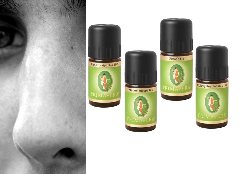 Primavera Riechtraining Set 4 ätherische Öle 100% naturreine Qualität Set 1