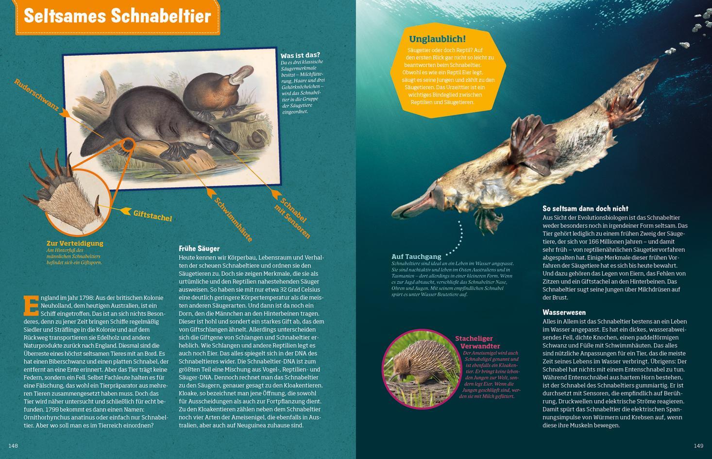 Thumbnail - Was Ist Was Abenteuer Evolution. Das Wunder Des Lebens - Man ...