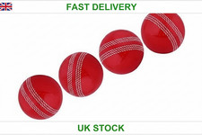 Cricket Ball |Indoor & Outdoor Soft Training Cricket Ball for Coaching