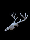 3D Printed Montana Deer Skull European Mount Replica #281 Gothic Decor — photo 2