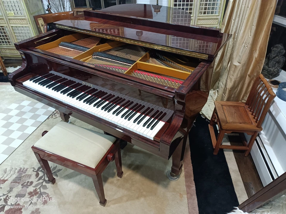 Petrof Model IV 5'8" Grand Piano in Mahogany - Image 4 of 4