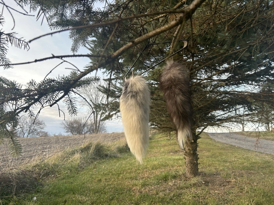 Cola de piel Colas de zorro reales Therian Llavero Bolso Dije Cosplay Juguete Bolso Cartera Colgante Foto 2 de 4