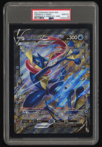 Greninja V Union | eBay