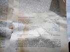 Bild 11 von 12