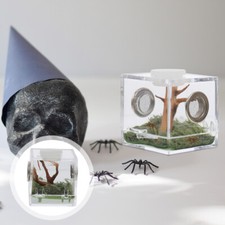1 Set Reptile Acrylic Feeding Case Acrylic Spider Hatching Container for Home