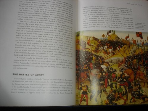 The Knight Triumphant High Middle Ages 1314-1485 medieval history Turnbull HBDJ - Picture 8 of 10