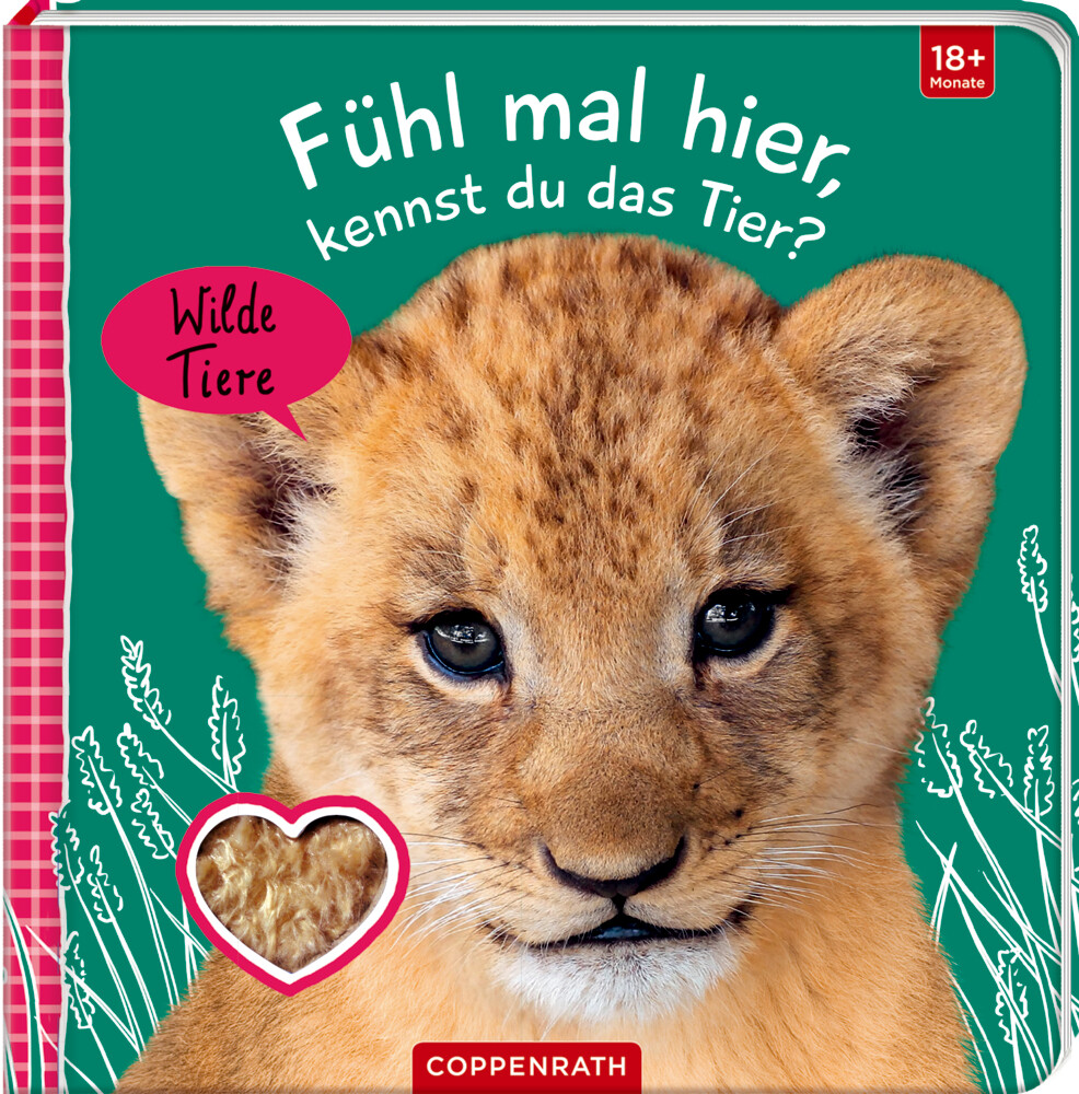 Thumbnail - Fühl Mal Hier, Kennst Du Das Tier? Wilde Tiere | Buch | 10 S. |