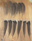 Dozen Turkey Tail and Wing Feathers-- Fly Tying Hats Floral Arrangement Crafts — photo 1