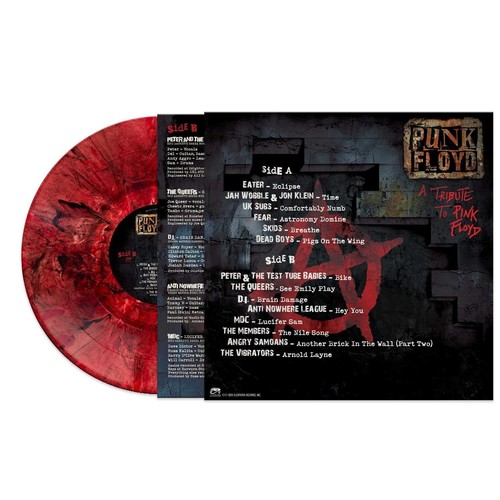 Various Artists Punk Floyd: A Tribute to Pink Floyd (Vinyl) (US IMPORT) - Picture 3 of 3