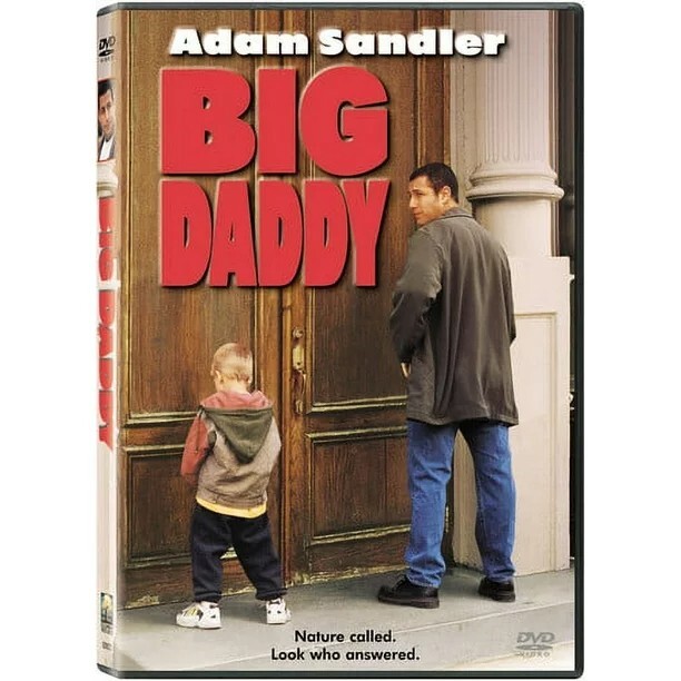 Big Daddy (DVD, 1999)