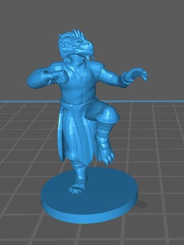 Dragonborn Monk Mini - DND - Pathfinder - Dungeons & Dragons - RPG - Tabletop - - Picture 2 of 9