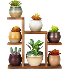 Small Desk Plant Stand 7 Tiers Window Sill Plant Shelf Tabletop Succulent Sta...