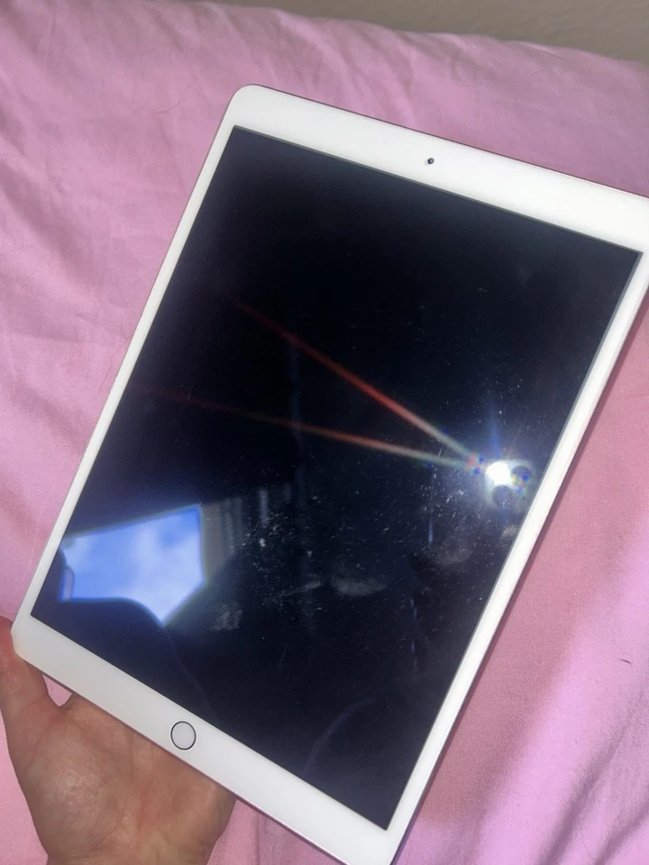 Apple iPad Pro 1. Gen 64GB, Wi-Fi, 10,5 Zoll - Roségold inkl. Apple Pen 1. Gen - Bild 3 von 4