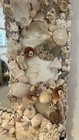 Custom “Old World” Shell Encrusted Mirror — photo 8