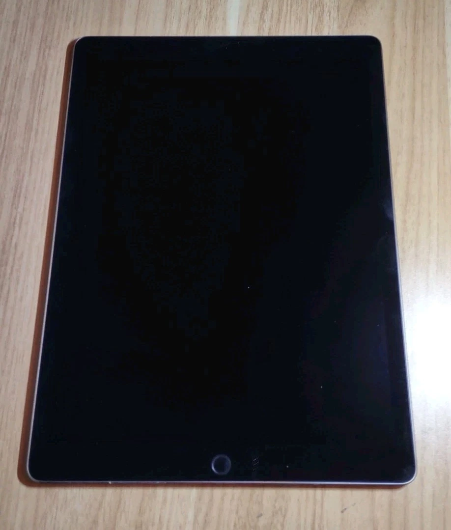 Apple iPad Pro(第2 代)256 GB 平板电脑| eBay