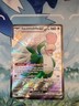 Squawkabilly ex 223/091 Paldean Fates Shiny Full Art Ultra Rare Pokemon TCG NM