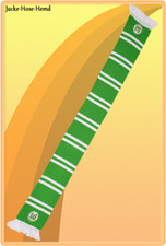 Schal Fanschal VfL Wolfsburg Wendeschal Logo Wappen Grün Weiß Gr: 17x150cm NEU