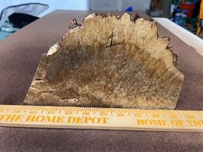 Raw Big Leaf Maple Burl Live Edge Slab Knife Scale Turning Blank Stabilizing 1