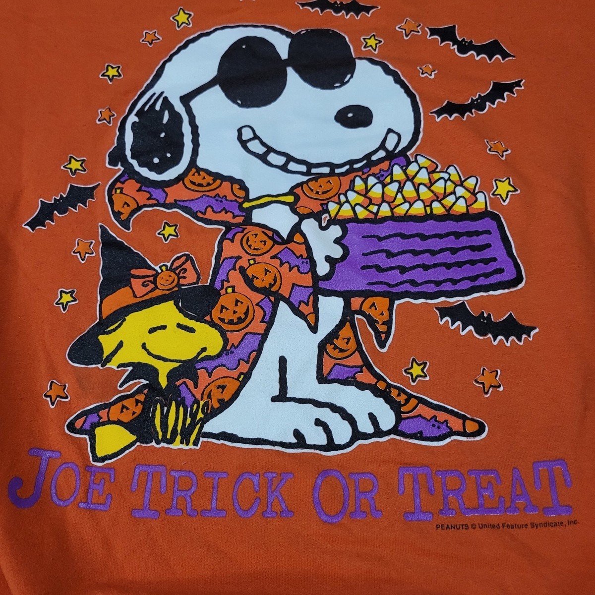 Vintage Peanuts Snoopy Joe Cool "Joe Trick Or Treat" Halloween Sweatshirt XL View 3