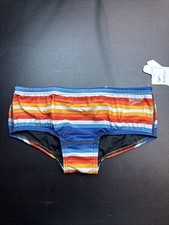 Men  s SPEEDO Swim Briefs Euro Brazilian Size 30 Multicolor Stripe Eco Endurance