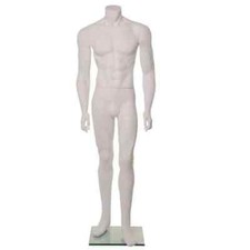 Headless Male Mannequin - Ken