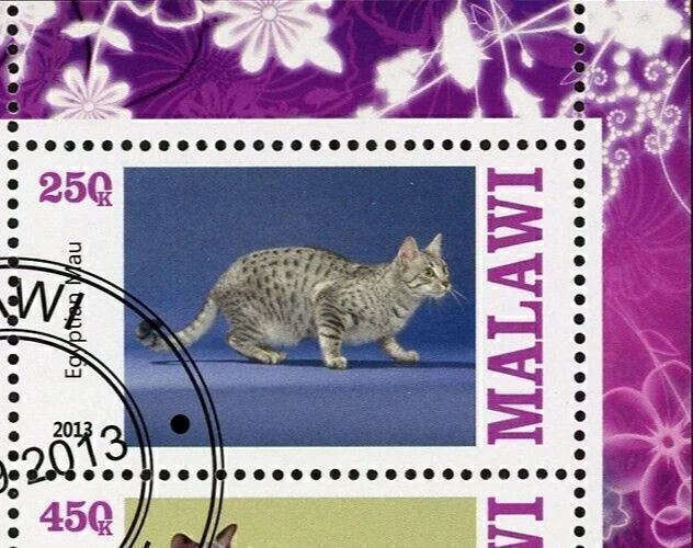 Malawi Cat Domestic Animal Ocicat Sphynx Souvenir Sheet of 4 Stamps - Image 3 of 4