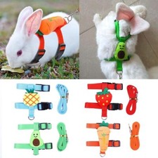 Rabbit Harness And Lead Small Animals Vest Leash Set Squirrel Ferret Hamster