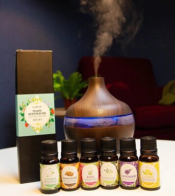 Ätherisches Öl Aromatherapie Luftbefeuchter Aromadiffusor für Häuser Lufterfrischer