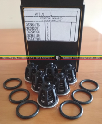 #ad 1pcs Interpump plunger pump parts maintenance kit kit KIT1 $159.78