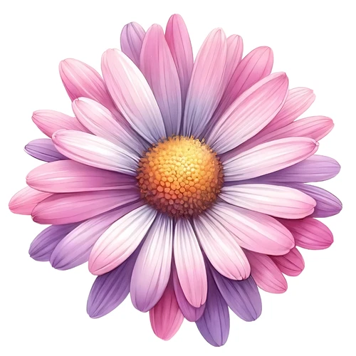 Daisy Flower Floral Self Adhesive Vinyl Sticker