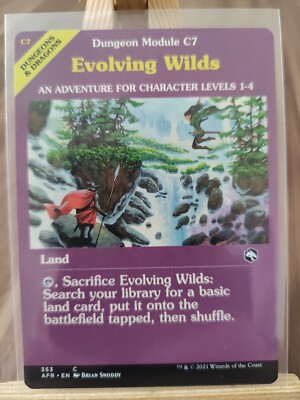 Evolving Wilds 353 AFR Showcase Magic the Gathering MTG Karte *NEU*
