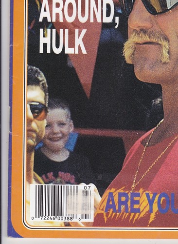 Pro Wrestling Illustrated July 1993 Hulk Hogan Davey Boy Smith Vader WWF WCW 90s - Picture 5 of 10