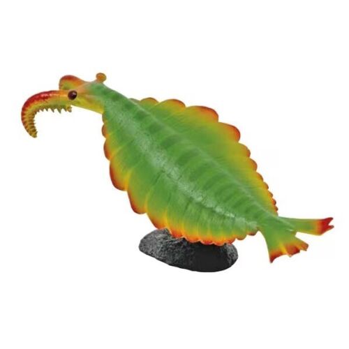 Cambrian Creatures Anomalocaris Soft Model Figure Favorite - Picture 3 of 10